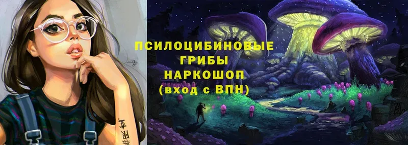 Псилоцибиновые грибы Psilocybe  Верея 